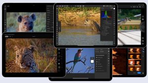 Read more about the article The best photo editing apps on the iPad