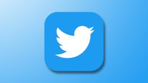 Read more about the article Twitter for Mac flies away from the Mac App Store