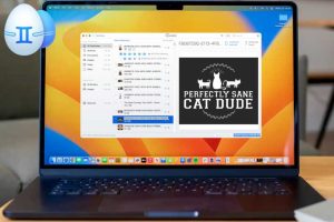 Read more about the article Gemini 2 duplicate file finder review