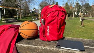 Read more about the article Patagonia Refugio Daypack 26L review: Great all-around everyday backpack