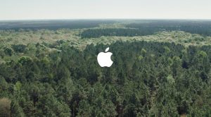 Read more about the article Apple tops list of retailers for eliminating bad chemicals