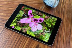 Read more about the article The brand-new iPad Mini just got a massive $99 discount