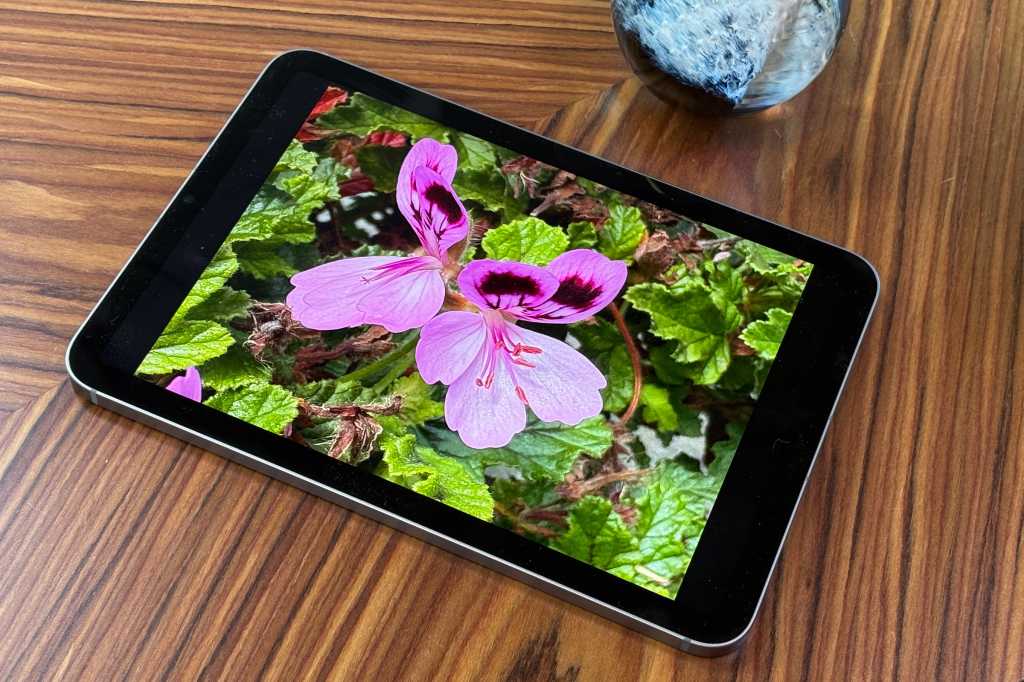 You are currently viewing The brand-new iPad Mini just got a massive $99 discount