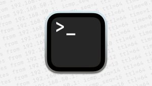 Read more about the article How to test your network or server using ping in Terminal