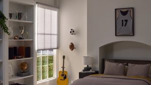 Read more about the article New Caseta Smart Shades from Lutron released at CES 2025